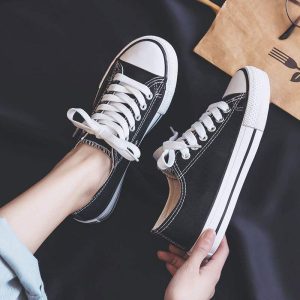 Low Ankle Converse